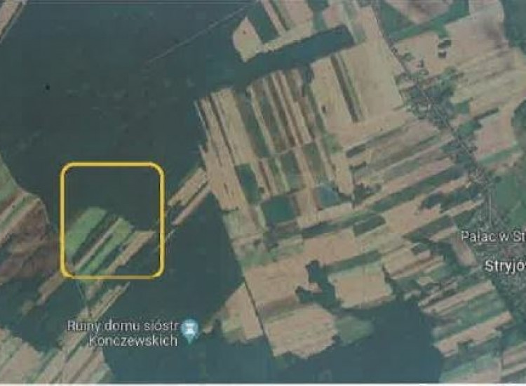 Syndyk sprzeda działki Stryjów
