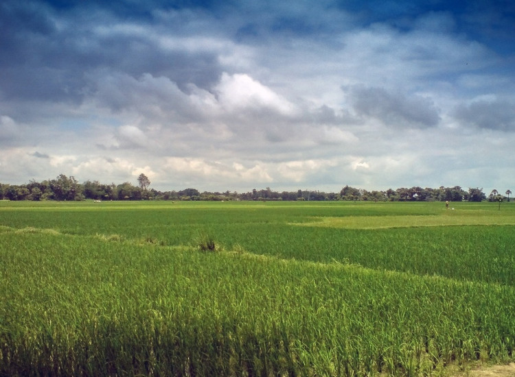 Działka budowlana 1000m2, Górki Górki