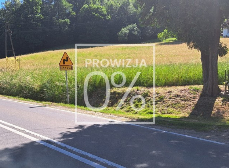 Na sprzedaż działka w Zdoni koło Zakliczyna 22 ar Zdonia