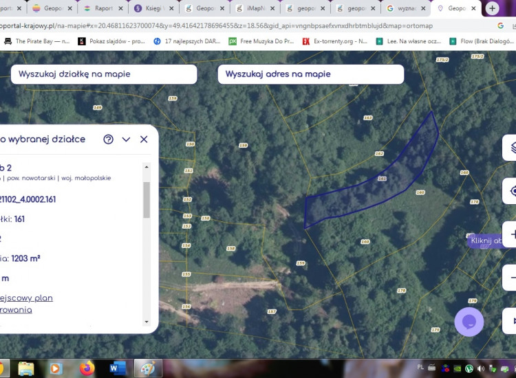 Szczawnica zaraz obok Palenickiegto szczytu. Szczawnica