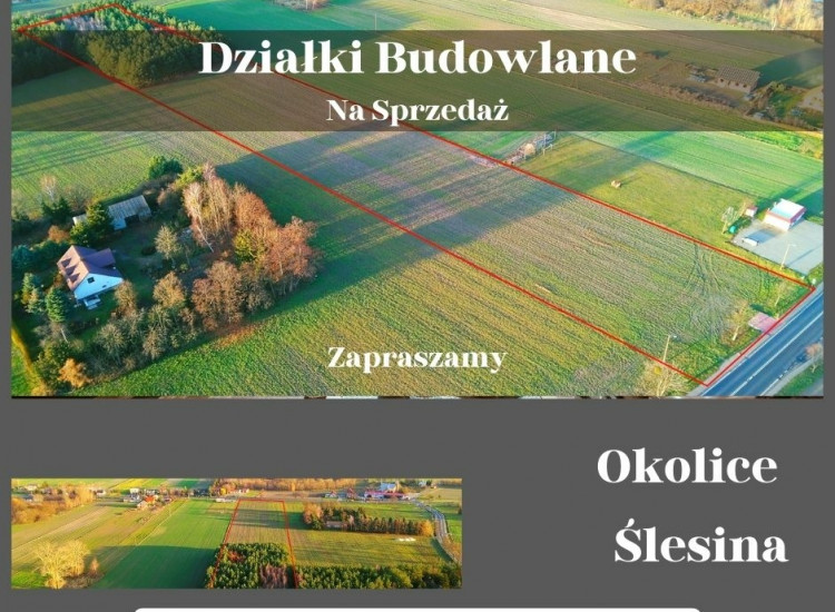 Okolice Ślesina – Działki Budowlane z Warunkami zabudowy Ślesin