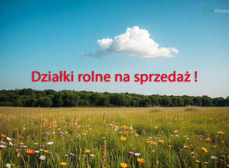 Działki rolne w Szczutkowie - 1,66 ha Szczutkowo