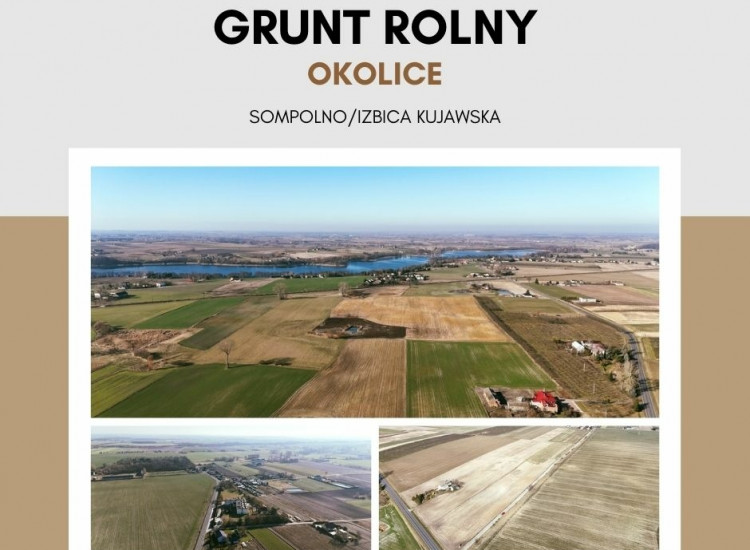 Grunt Rolny okolice Sompolna/Izbicy Kujawskiej Babiak
