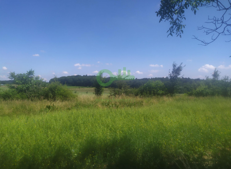 Działka Czajowice ul. Łokietka Czajowice