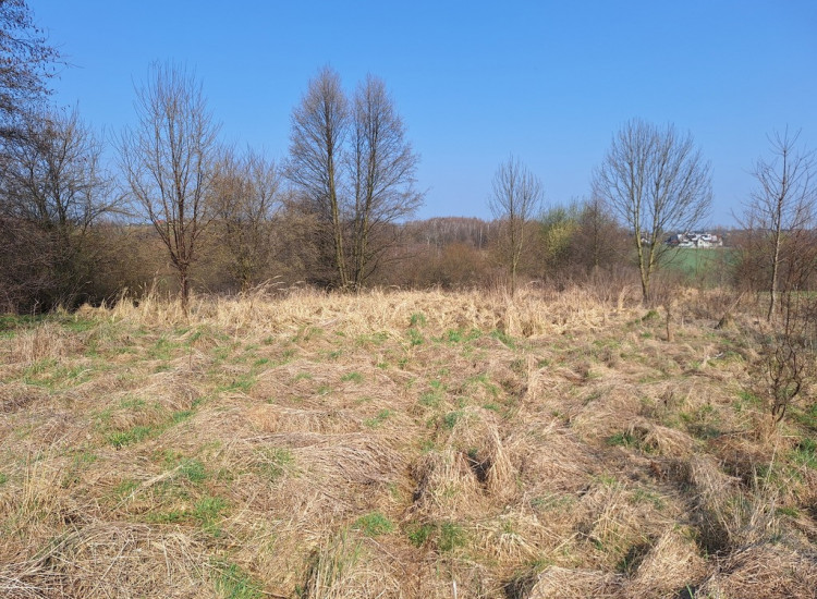 Działki rolne - Lgota k./Wadowic Lgota