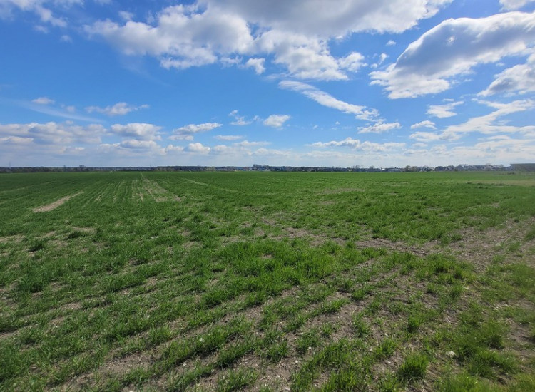 Sprzedaż 1,58 ha - budownictwo mieszkaniowe Opole Opole