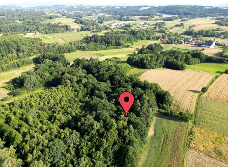Działka Sitnica Sitnica