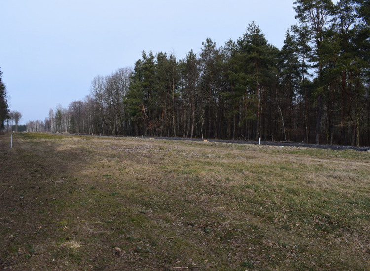 Działki 10a pod zabudowę pod lasem- Widełka Widełka