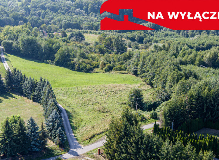 Na sprzedaż działka idealna pod winnice Szczepanowice