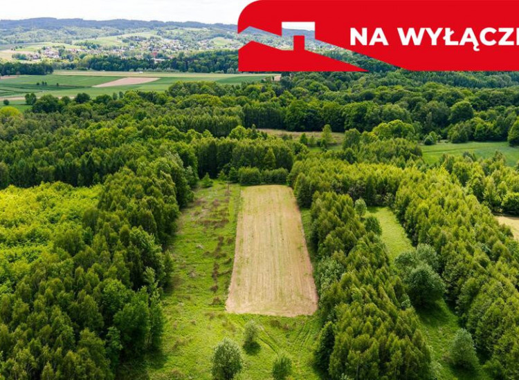 Działka rolna - 4677 m² Skrzyszów Skrzyszów