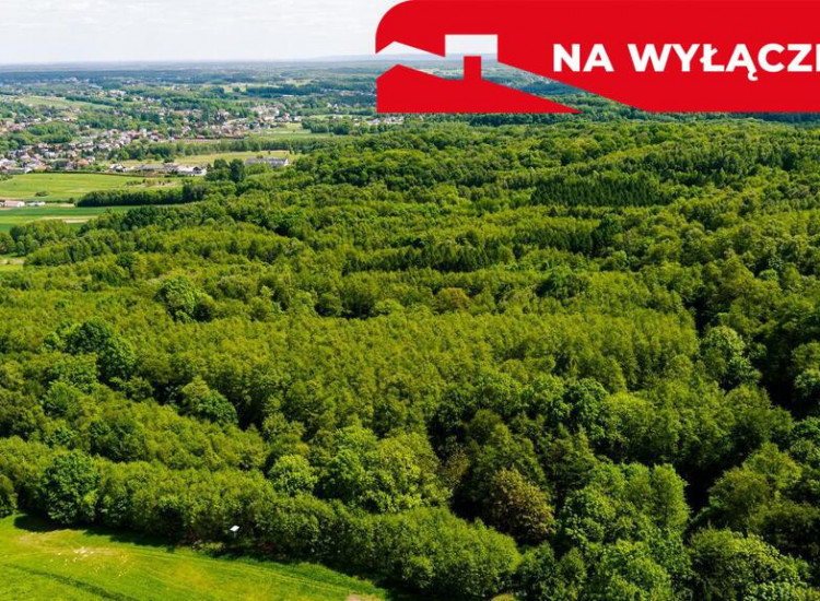 Działka leśna w Skrzyszowie Skrzyszów