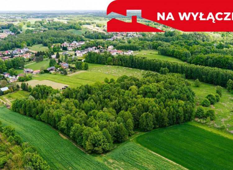 Działka rolno-budowlana- Skrzyszów Skrzyszów