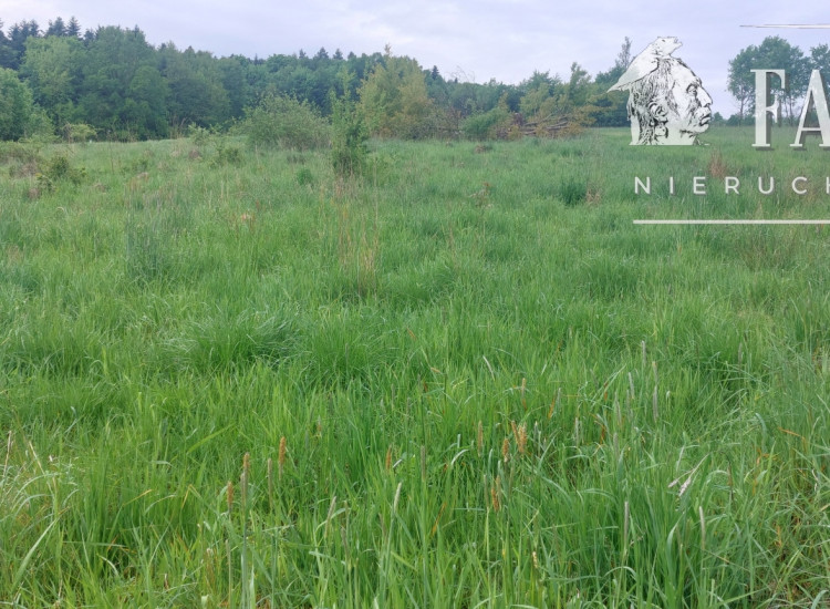 Siary, działka budowlana 15 a, 1151S/2025 Siary