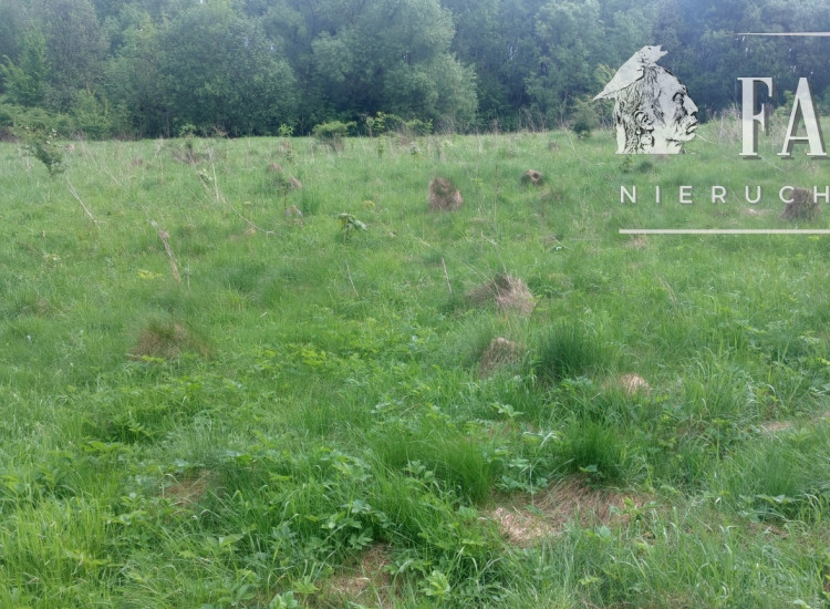 Siary, działka rolna, 1149S/2025 Siary