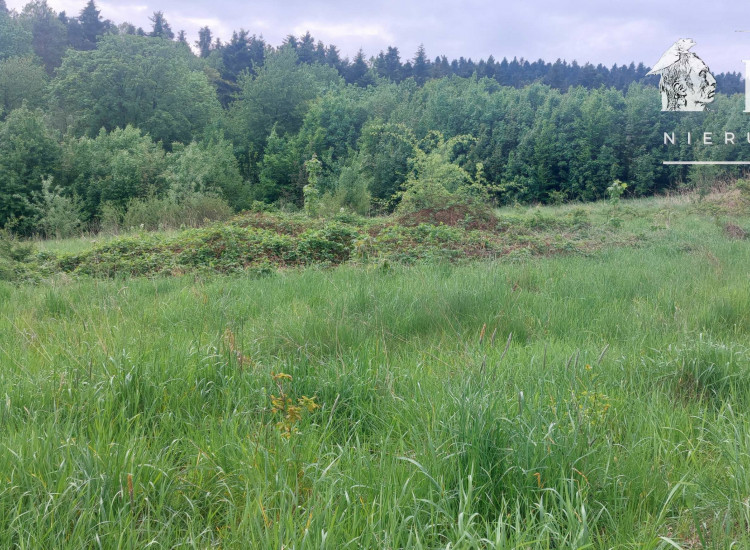 Siary, działka budowlana, 1148S/2025 Siary