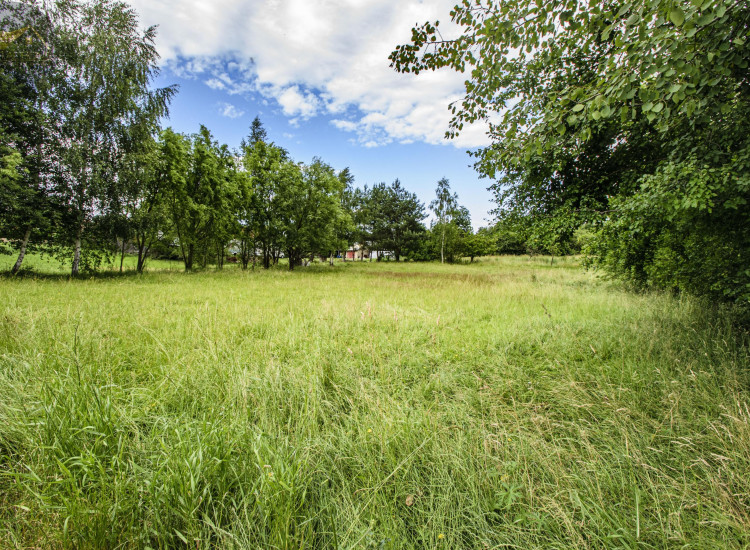 Działka Grodziszcze Grodziszcze