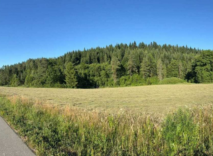 Działka budowlana - Berezka, Bieszczady Berezka
