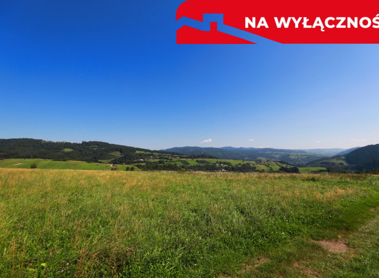 Działa w Grywałdzie z możliwością uzyskania WZ Grywałd