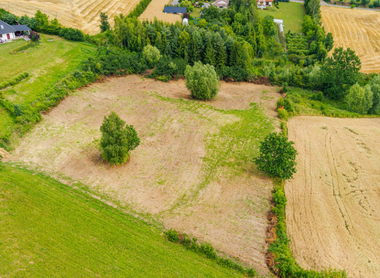 Działka rolno-budowlana w Tuchowie! Tuchów