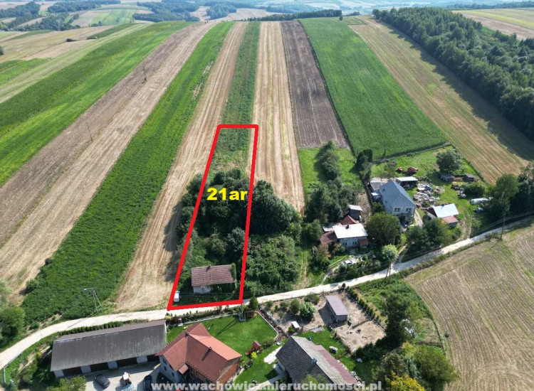 Na sprzedaż działka w gminie Słaboszów - www.wachowicz.nieruchomosci.pl Janowice
