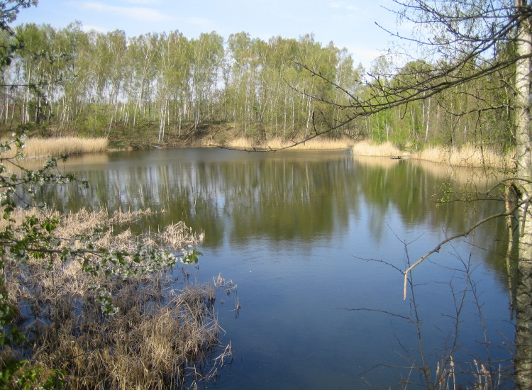 Dzialka rekreacyjno-budowlana nad oczkiem wodnym. Czerna
