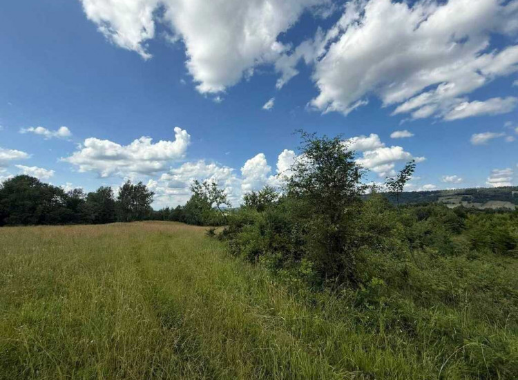 Działka w otoczeniu łąk - Bieszczady, Ustjanowa G. Ustjanowa Górna