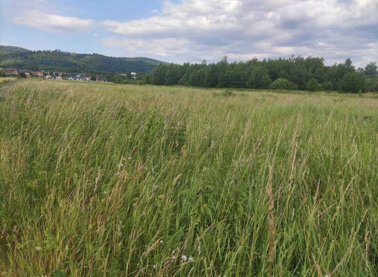 Działka pod budowę w spokojnej okolicy - Sanok! Sanok