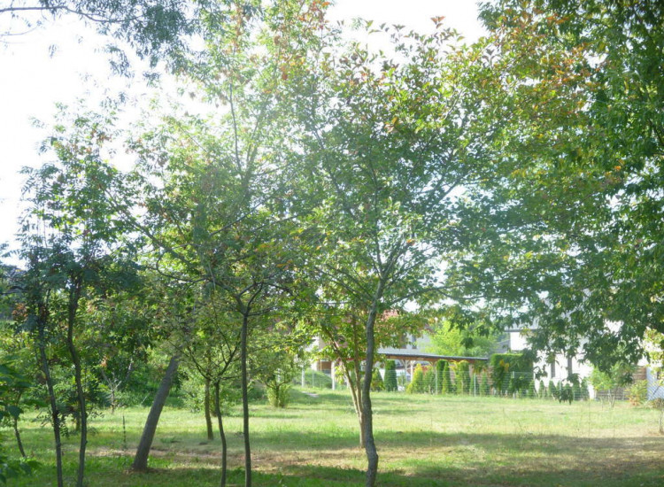 Działka 6700m2,gm.Dobra,dr.asf.las. Dobra
