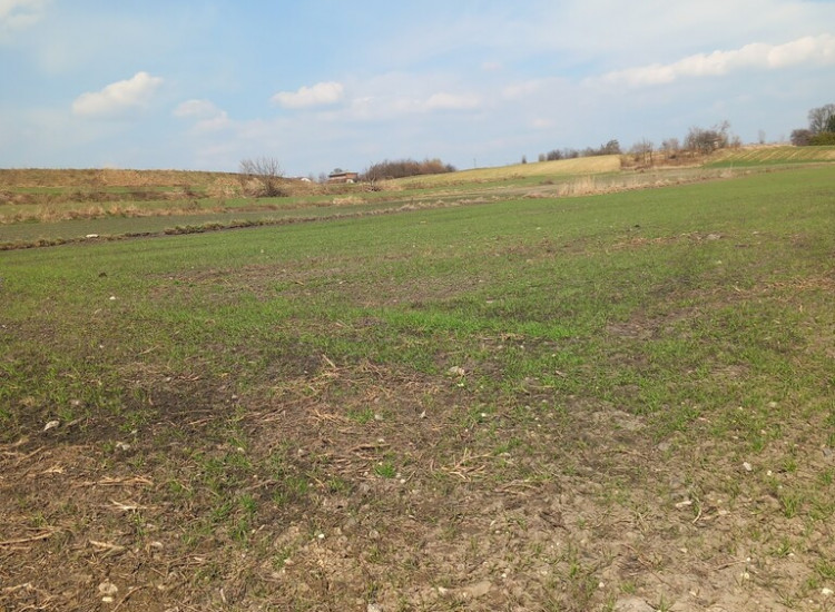 Jakubowice Murowane, gm. Wólka-działka 6600m2 Jakubowice Murowane
