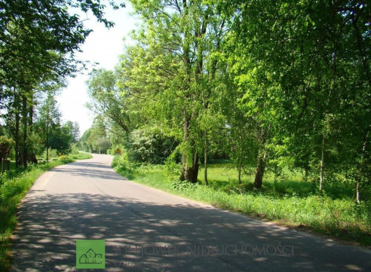 Działka Budziska ul. Krucza Budziska
