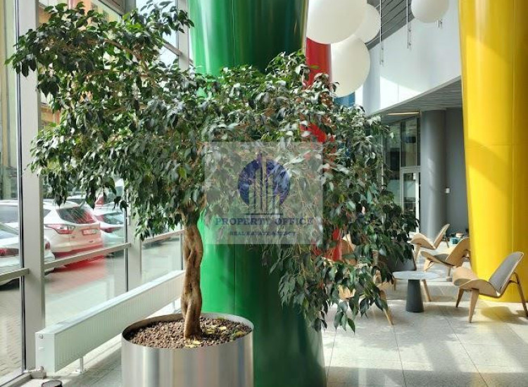 Lokal Warszawa Wola ul. Okopowa Warszawa