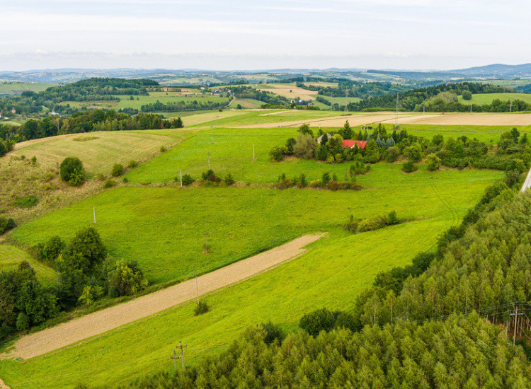Hektarowa działka budowlana w Krużlowej Wyżnej! Krużlowa Wyżna