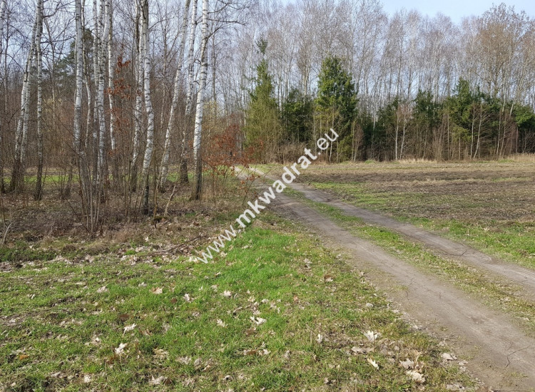 Borszyce gm.Kowiesy działka 3282 m Borszyce