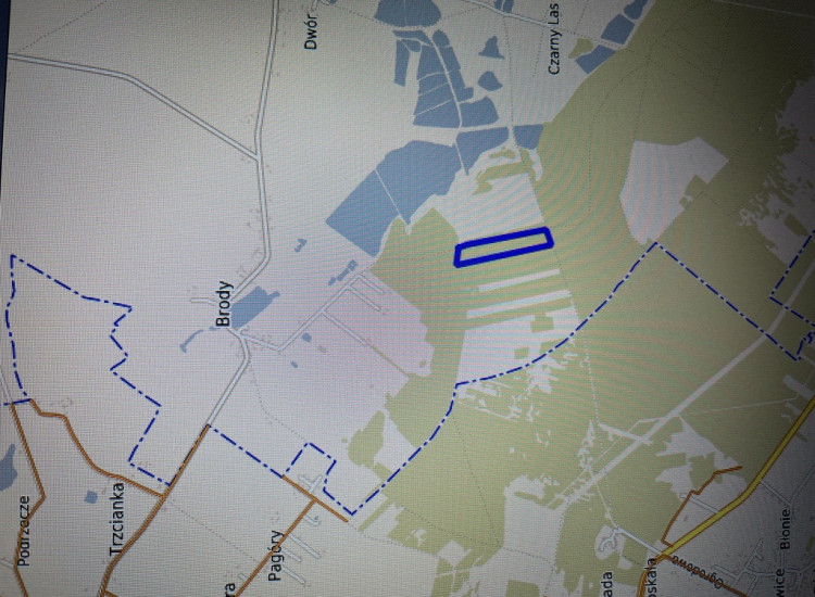 Działka leśna 3,90 ha w Brodach  gm. Pierzchnica. Brody