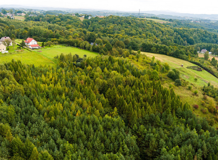 Na sprzedaż działki w Zalasowej Zalasowa