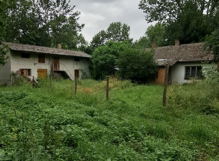 Działka siedliskowa budowlana Sędziejowice-Kolonia