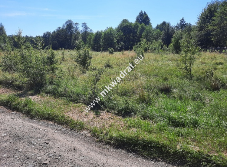 Ostatnia z podziału dobra lokalizacja Rusiec