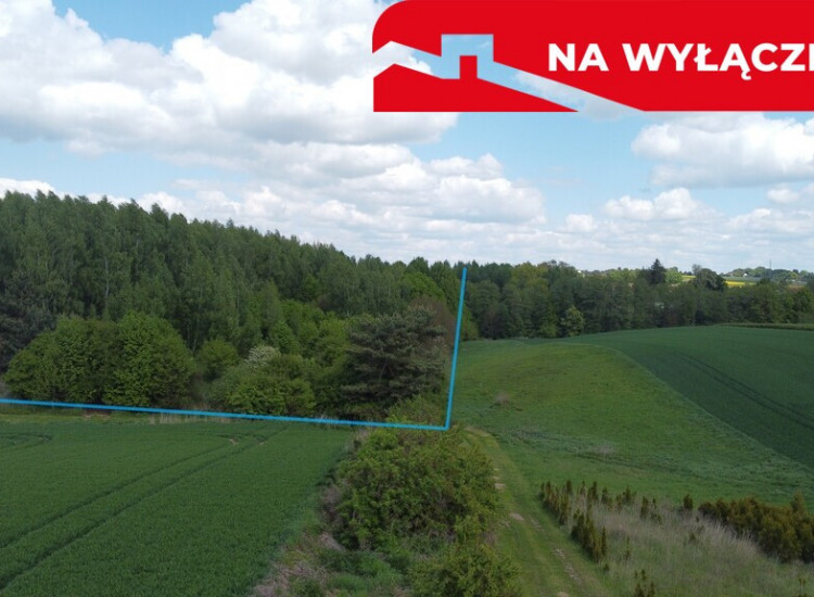 Działka 2,15 ha z potencjałem koło Nałęczowa. Chruszczów