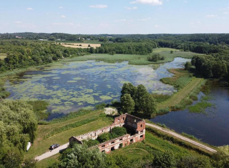 Działka 35 ha z ruinami papierni w Celejowie. Celejów