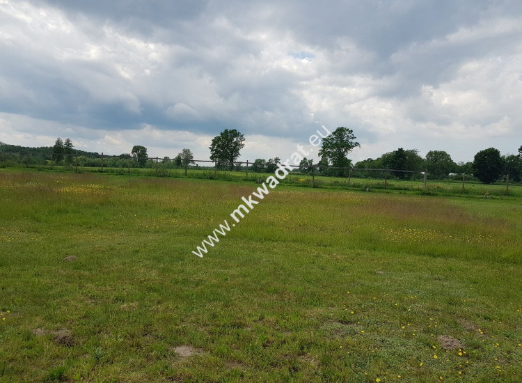⭐⭐⭐⭐⭐ Ustawna 1500m2 w cichej okolicy 45mx33m⭐⭐⭐⭐⭐ Terenia