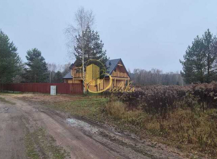 Las, przestrzeń, możliwości!Grzybowce czekają MPZP Grzybowce