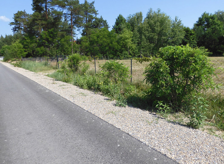 Działka budowlana / inwestycyjna 24a – Tereszpol, blisko Zwierzyńca Tereszpol-Zaorenda