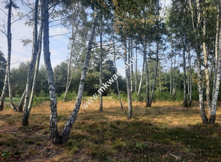 Działka mieszkaniowo-usługowa Nadarzyn M Kwadrat Nadarzyn