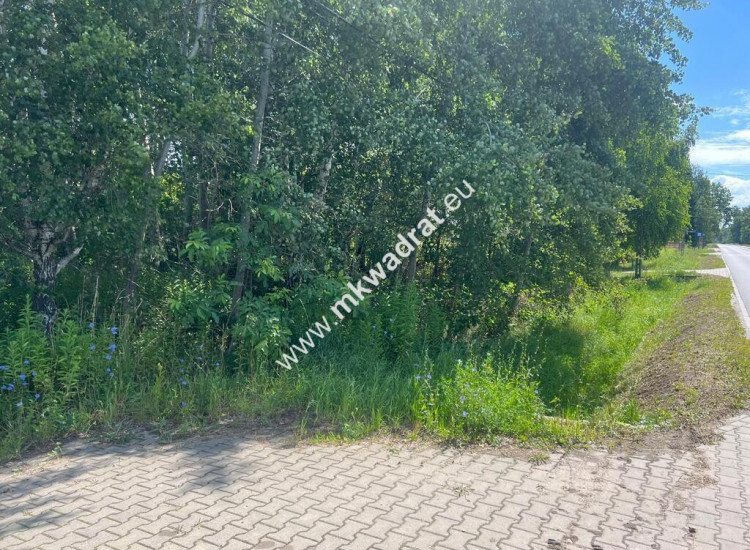 Działka budowlana 6577 m2 Radonie z MPZP Radonie