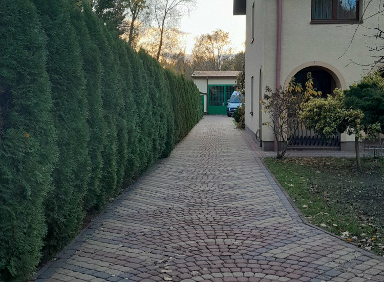 Wynajmę dom 3-piętrowy z opcją hali i biura Złotokłos