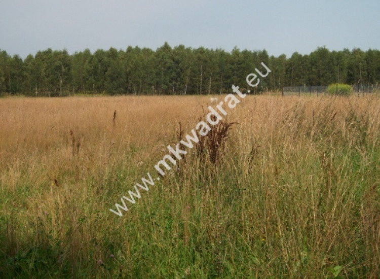 Siestrzeń działka 1500m2 Siestrzeń