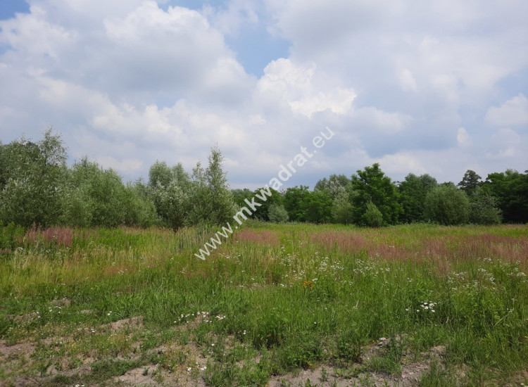 Dla Developera Pruszków Plan Miejscowy wydane pozw Domaniewek