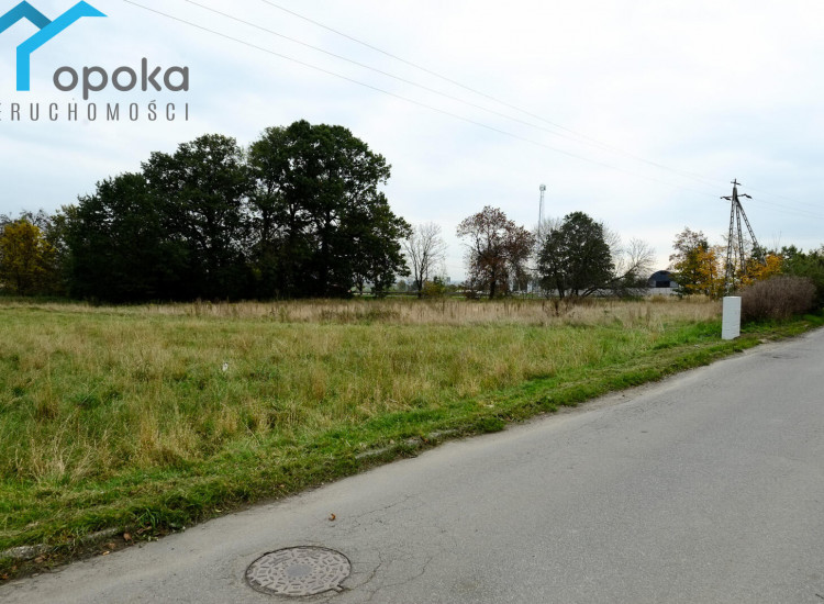 Działka Wilcza Wilcza