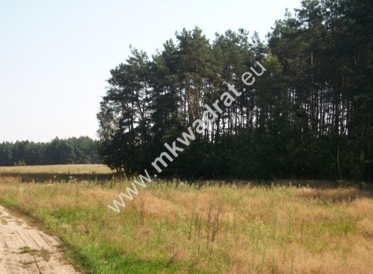 Budy Mszczonowskie działka 7009m2 Budy Mszczonowskie