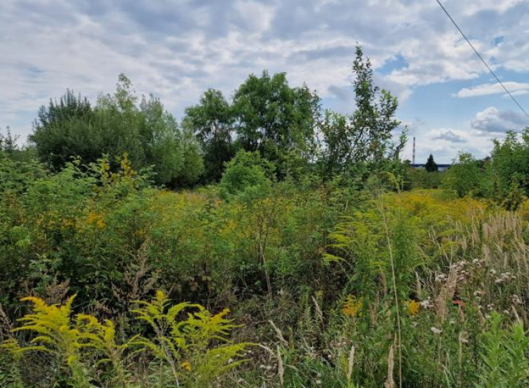 Działka Grodków Grodków